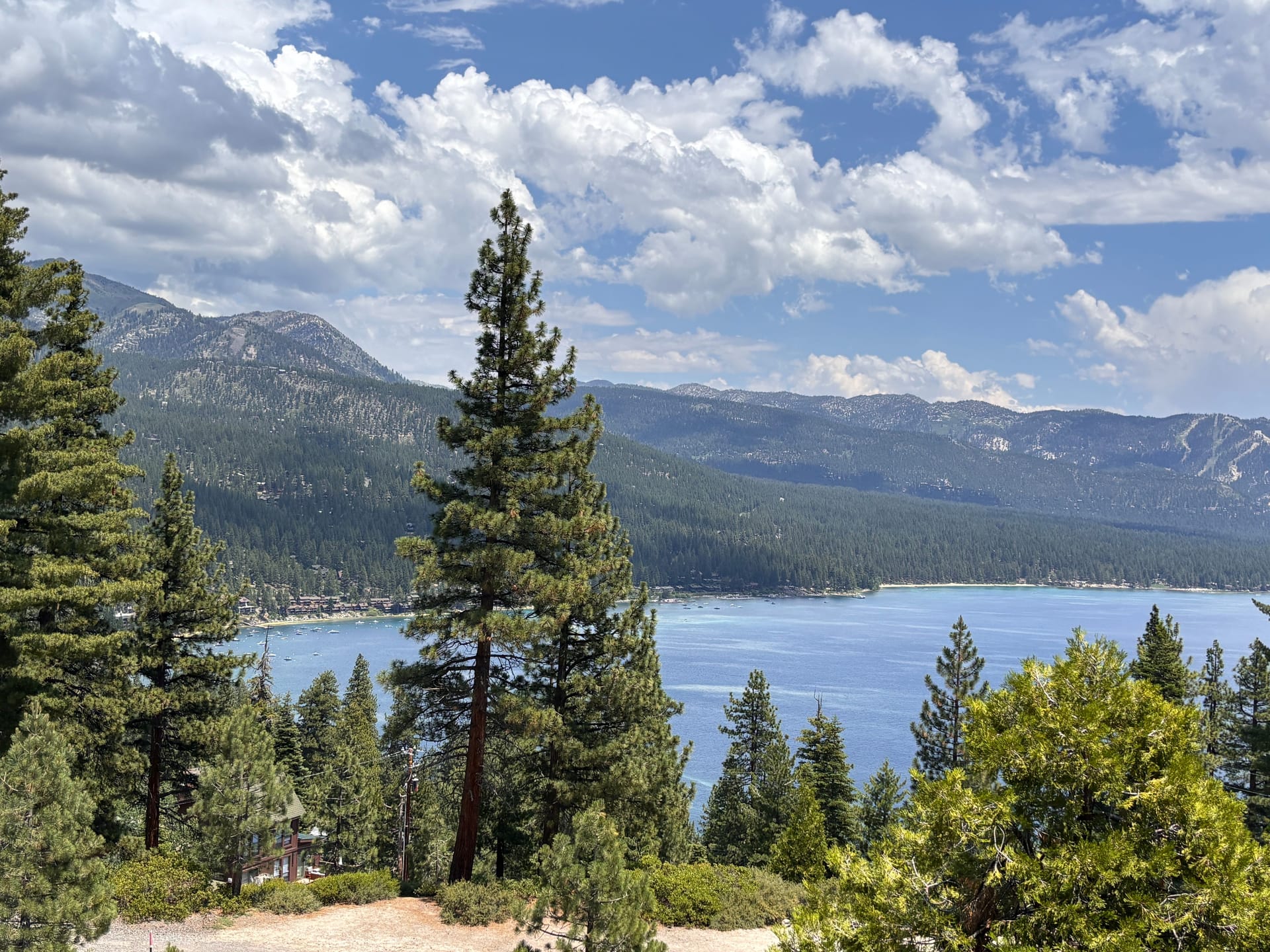 Lake Tahoe ringed by pine forest and Sierra peaks in summer